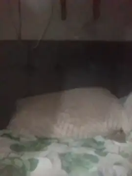 Shawnzinho online show from April 17, 4:31 pm