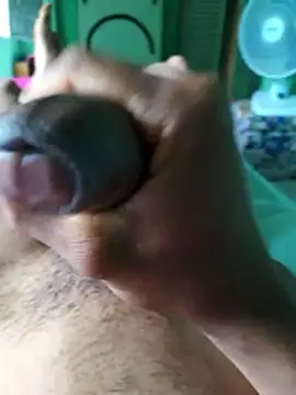 D22Ad online show from November 26, 1:36 pm