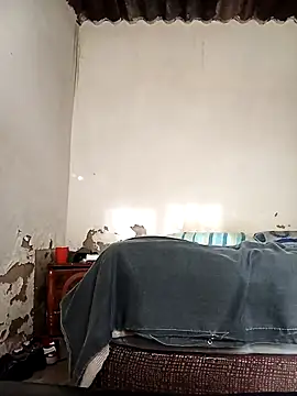 Snapshot of average_price chatting on October 8, 4:28 am average price online show from October 8, 4:28 am