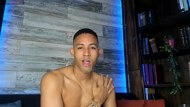 B Wild online show from March 26, 4:05 am