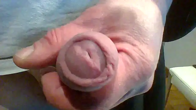 ludopz online show from September 27, 3:26 am