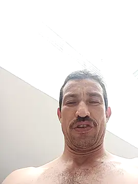 zamir adam online show from November 6, 3:26 pm