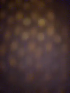 Justahungdad online show from October 13, 12:00 pm