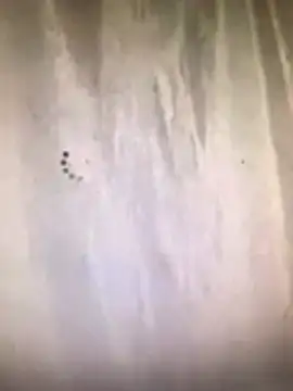 amasha200 online show from March 9, 12:04 am