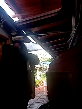 monroedelrey online show from January 10, 6:56 pm