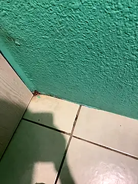 feetbooy online show from December 22, 12:19 am