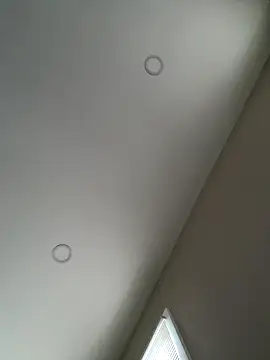 murphdolla online show from December 19, 1:52 pm