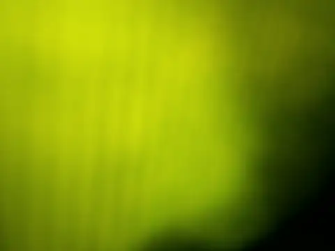 GingerLegend online show from April 9, 12:22 pm