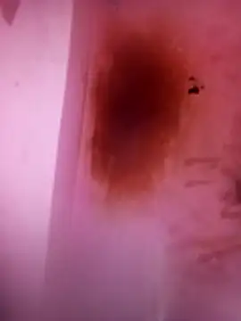 Eswar77 online show from November 10, 5:18 pm