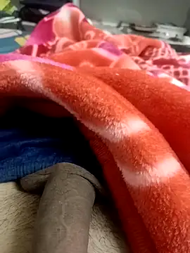 pn12345 online show from November 8, 4:32 pm