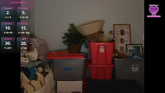 TactileMode8 online show from October 24, 12:45 am