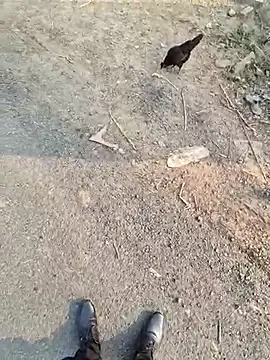 crawlerdrill online show from November 27, 9:46 am