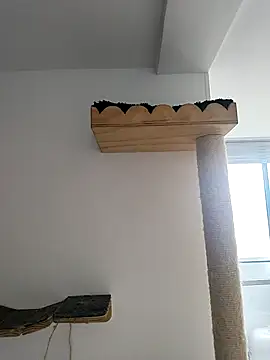 Andyy Carterr online show from October 21, 8:01 pm