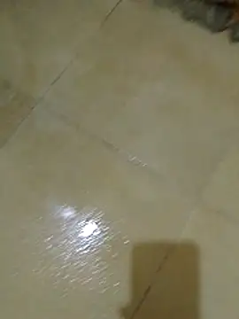 svk 05 online show from November 27, 4:38 am