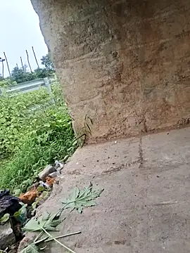 DesiVideo00 online show from November 28, 8:27 am