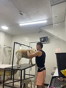 Leonardmoppet online show from October 25, 9:16 pm