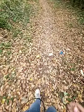 bbyxklaus online show from October 19, 11:13 am