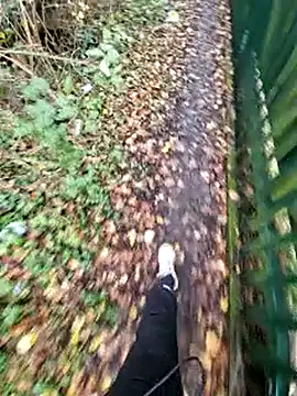 bbyxklaus online show from November 27, 10:52 am