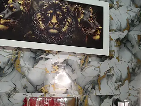 Rigel paxs online show from November 24, 1:06 am