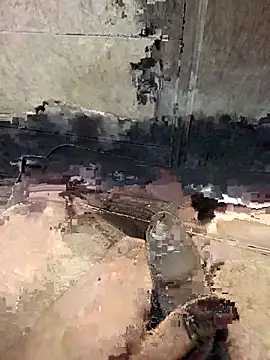 Telugus online show from March 25, 3:49 pm