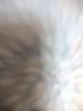 Telugus online show from April 6, 1:13 am