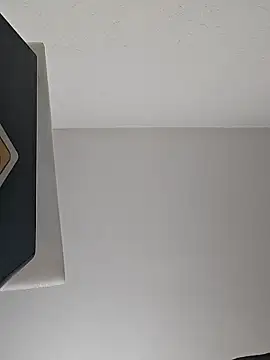 Zoomorris online show from December 16, 4:25 pm