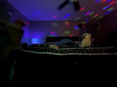 Antnjon online show from December 14, 2:07 am