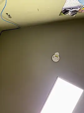 24denio online show from February 17, 2:16 pm