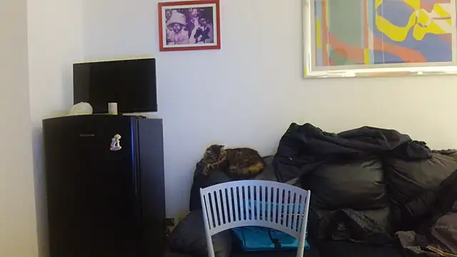 AMIRDIB2025 online show from April 17, 10:01 pm