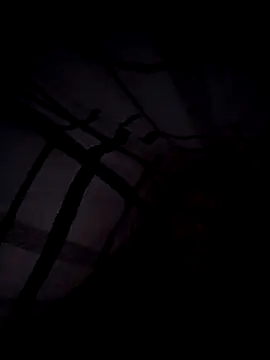 scotbhoyscott online show from March 10, 4:18 am