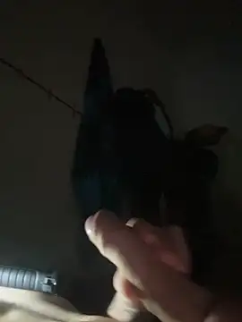 Leo-frm online show from December 18, 9:16 am