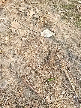 sexloverg7 online show from December 15, 10:45 am