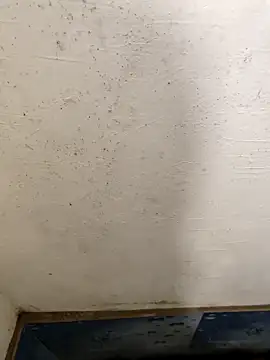 good7685 online show from December 21, 5:10 pm