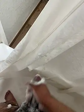 elpapigrande12 online show from February 18, 5:49 am