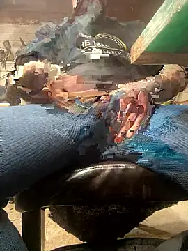 WIDBIGWHITECOCK online show from January 18, 7:54 am