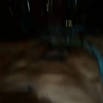 Mukto Akash online show from March 27, 5:11 am