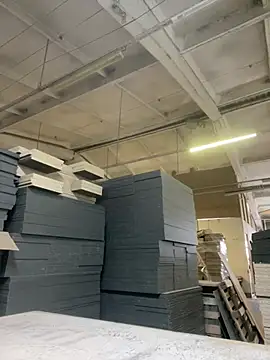 Dildogang online show from March 2, 7:15 am