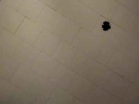 sterng6969 online show from April 9, 8:09 am