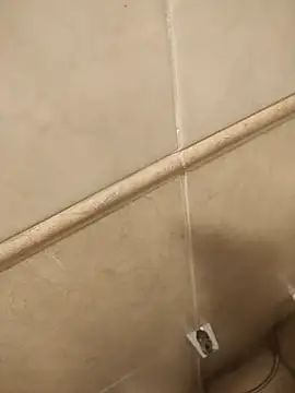 MuZKAsia69 online show from April 14, 10:37 am