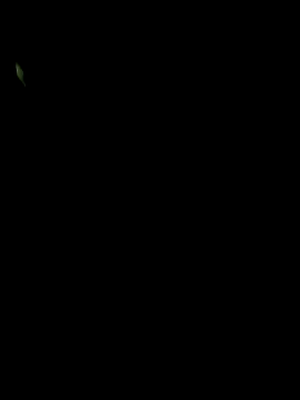 big12phase online show from March 14, 4:52 am