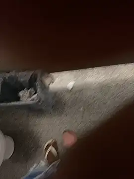 hudson19cm online show from February 22, 2:02 am