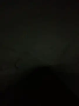 Vic187319 online show from February 2, 8:57 am