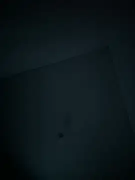 dominick fran online show from February 11, 11:10 pm