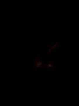 Harry302933 online show from March 11, 4:58 pm