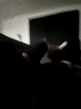 bitampa-23 online show from February 16, 9:07 am