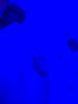 bojo69 online show from February 13, 12:10 pm