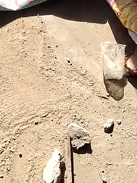 aryanvfit online show from February 27, 9:54 am