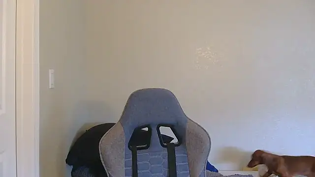 nigeleros online show from February 23, 11:28 pm