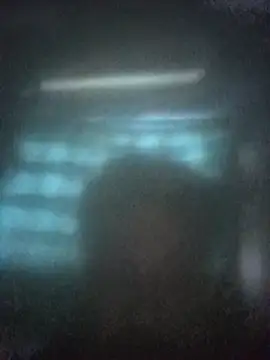 StaidTutorial online show from March 7, 11:08 am