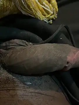 paladin988 online show from April 14, 1:38 am